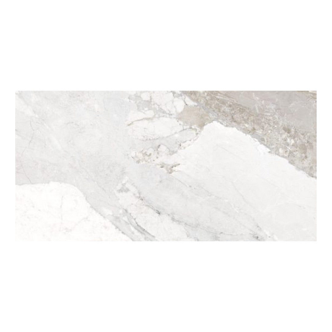 Qualis Ceramica Dynasty 12" x 24" Rectified Matte Porcelain Tile