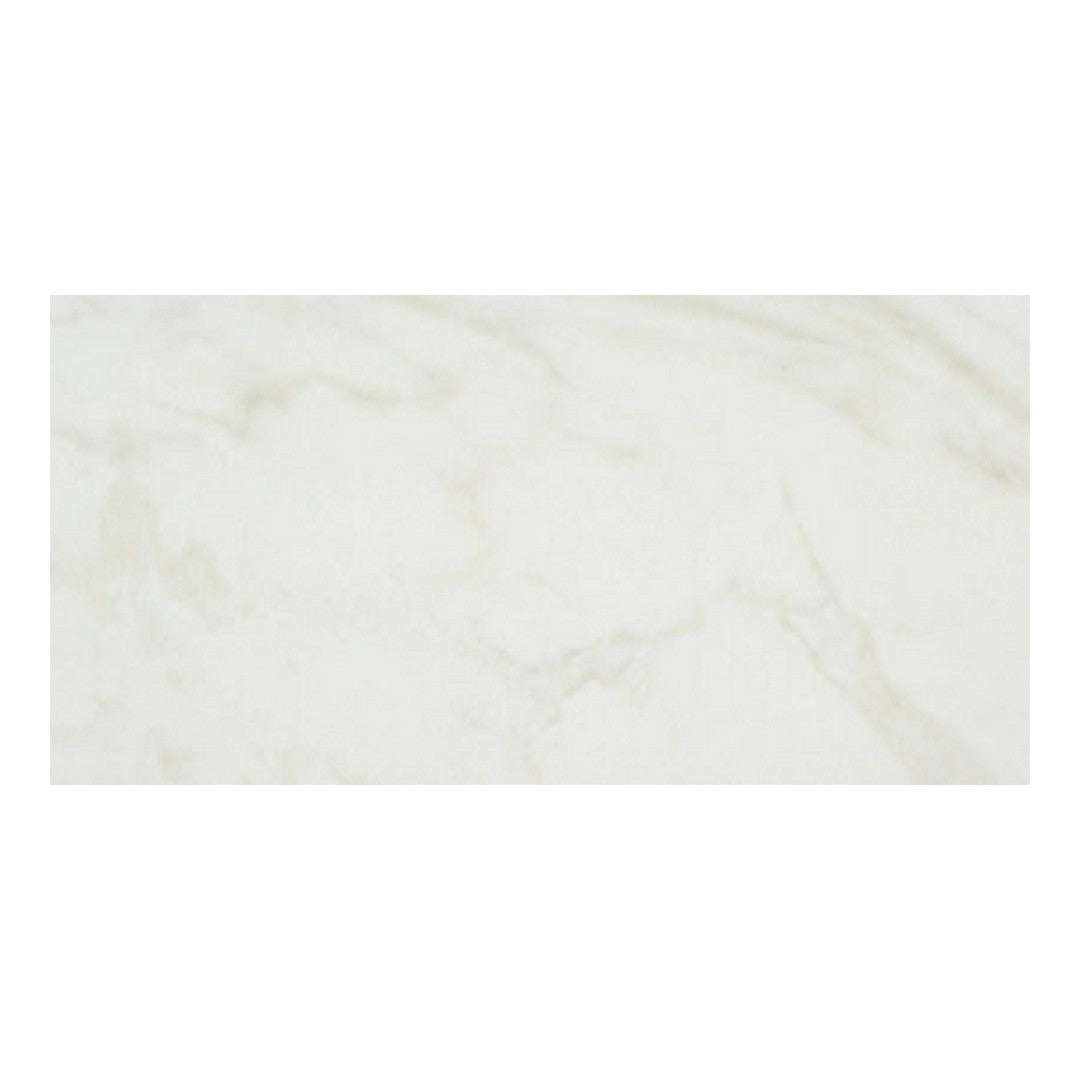 Qualis Ceramica Luxury 12" x 24" Rectified Polished Porcelain Tile