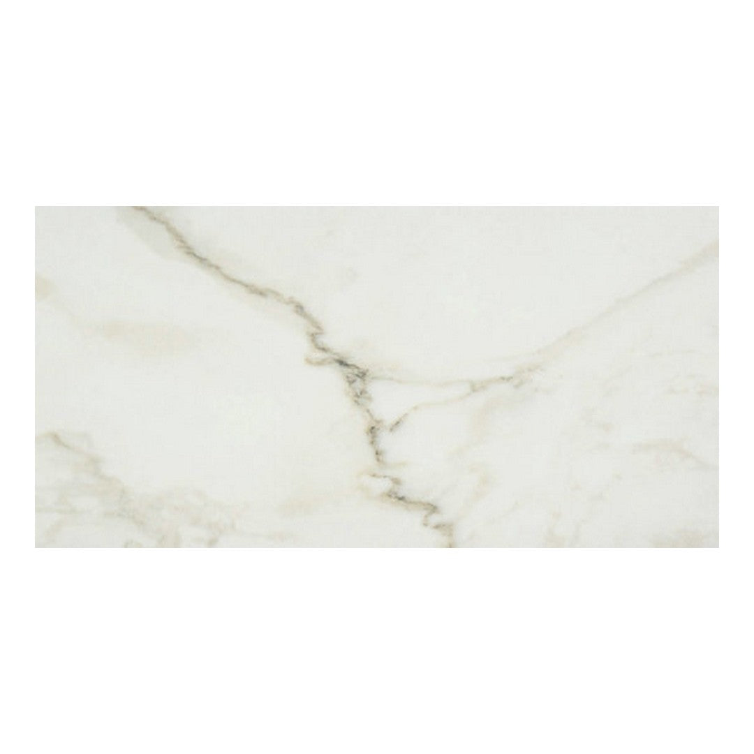 Qualis Ceramica Luxury 24" x 48" Rectified Honed Porcelain Tile