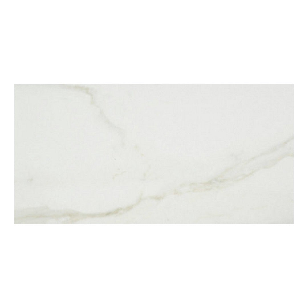 Qualis Ceramica Luxury 24" x 48" Rectified Polished Porcelain Tile