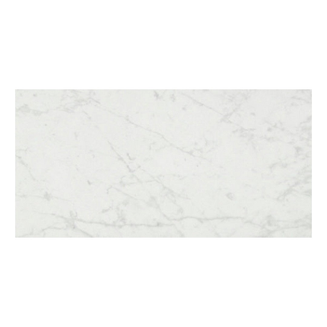 Qualis Ceramica Luxury 24" x 48" Rectified Honed Porcelain Tile
