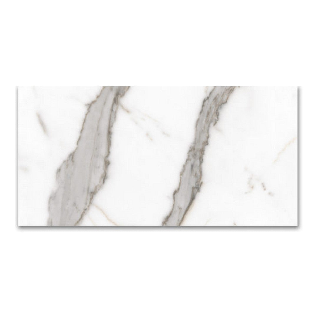 Qualis Ceramica Mystique 24" x 48" Rectified Matte Porcelain Tile