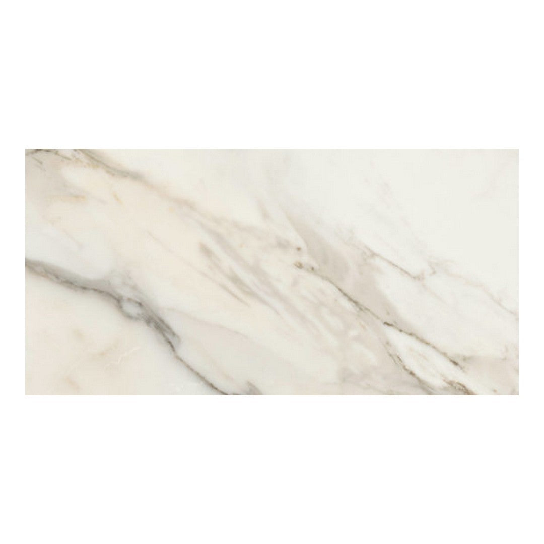 Qualis Ceramica Mystique 12" x 24" Rectified Matte Porcelain Tile