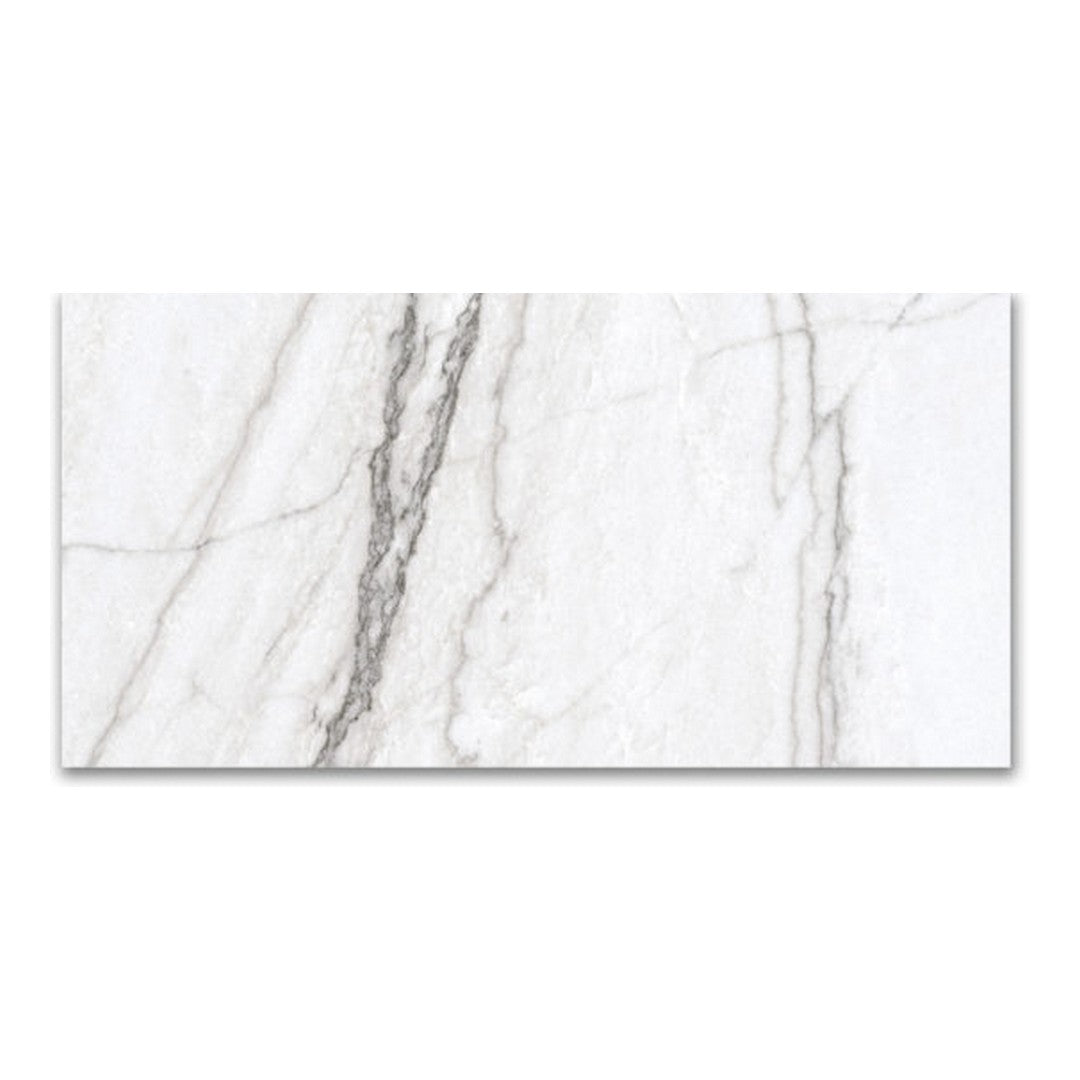 Qualis Ceramica Mystique 12" x 24" Rectified Polished Porcelain Tile