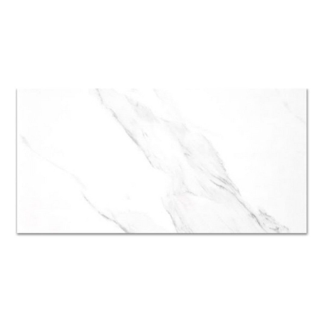 Qualis Ceramica Treasure 12" x 24" Polished Porcelain Tile
