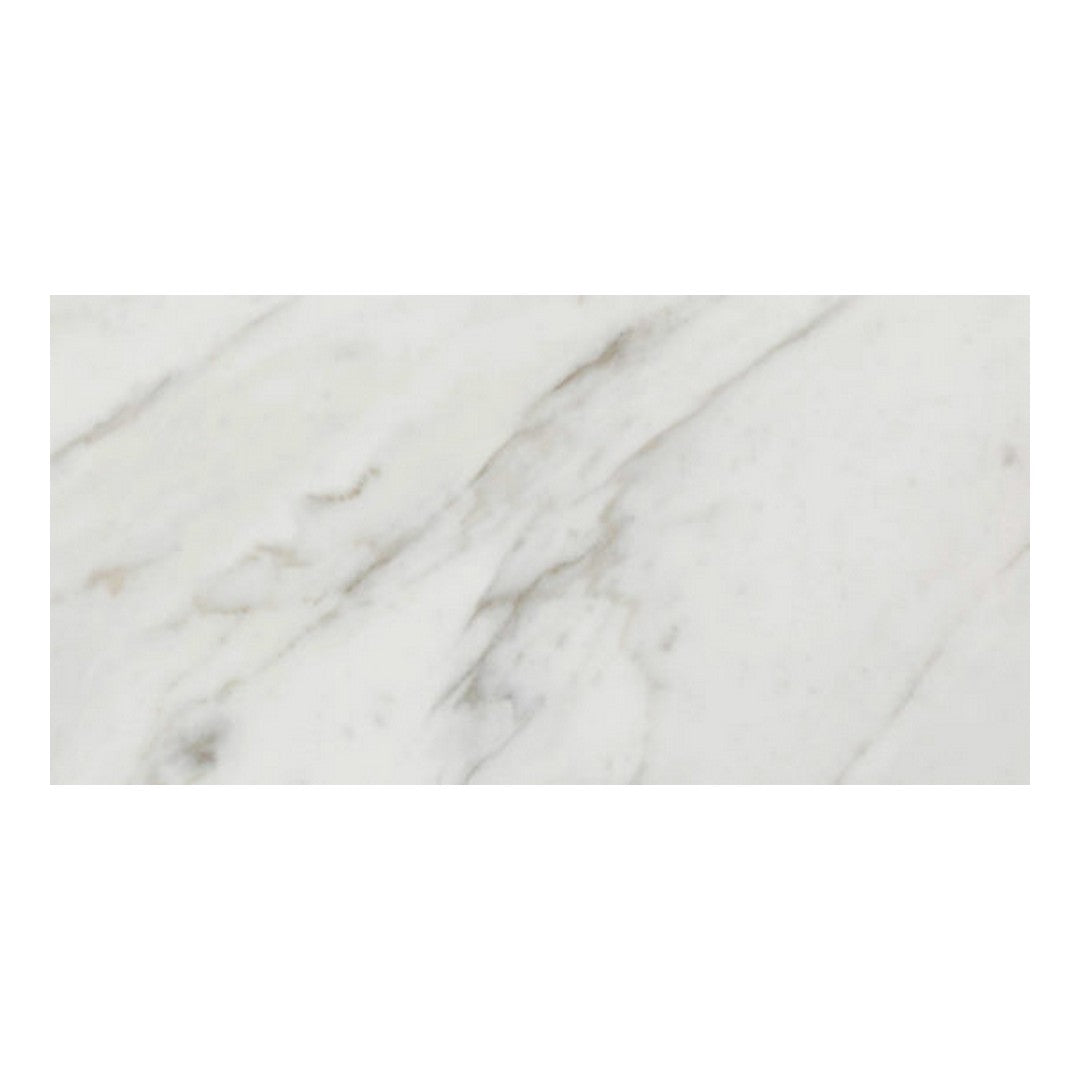 Qualis Ceramica Verona 12" x 24" Matte Porcelain Tile