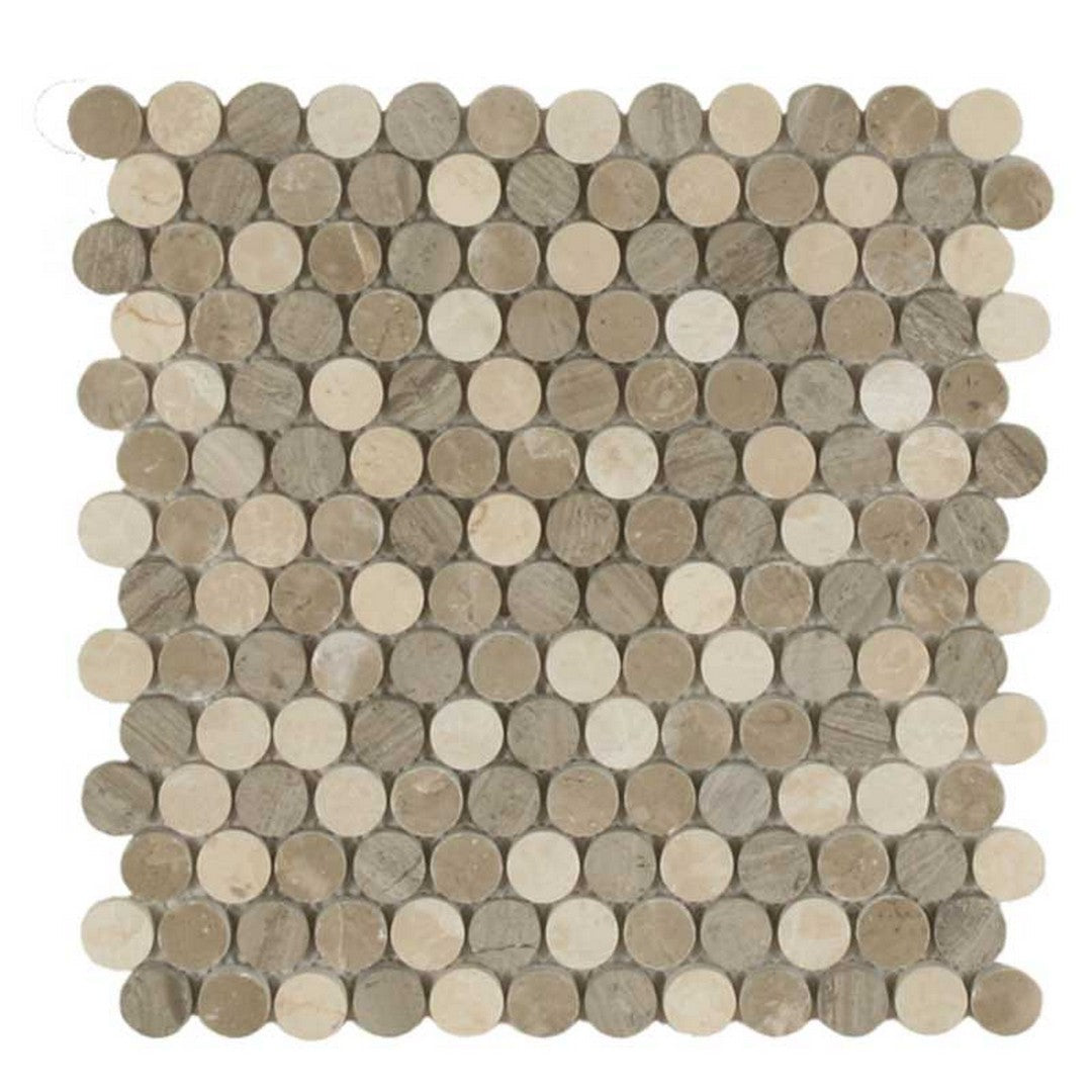 Maniscalco Stone Daintree Exotic 11.2" x 11.7" Polished Marble Stone Dots Mosaic