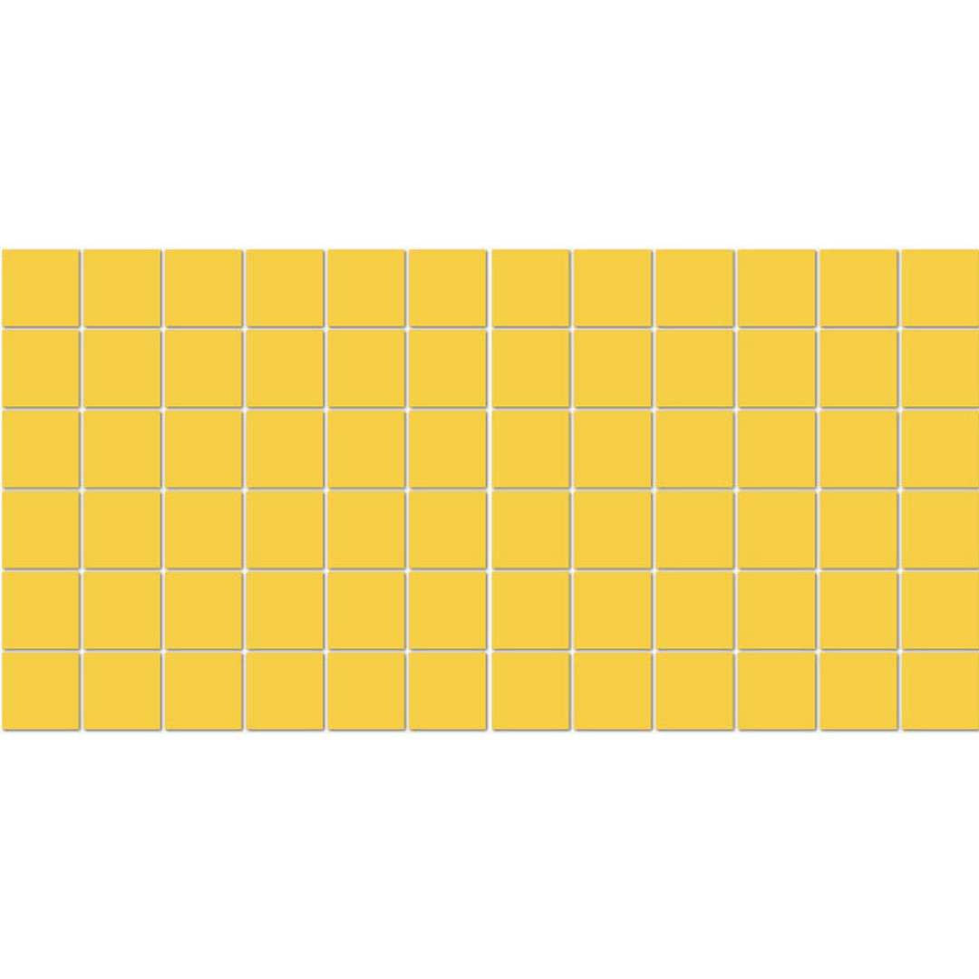 American Olean Unglazed 12" x 24" Unglazed Porcelain 2" Mosaic