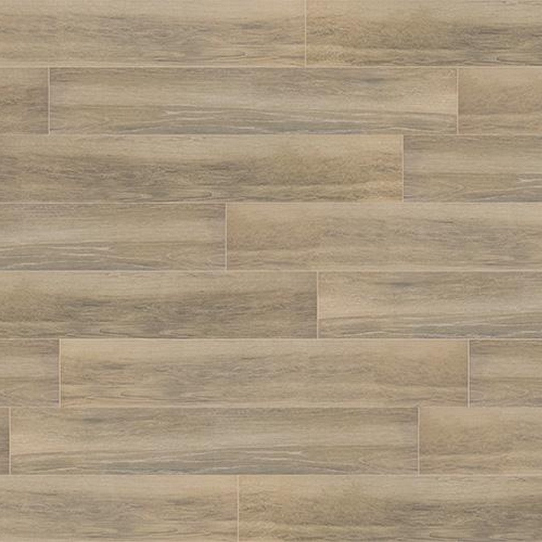 Tesoro Allegheny 8" x 36" Rectified Matte Porcelain Plank