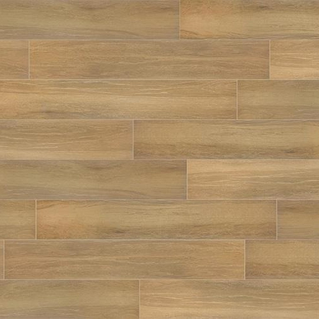 Tesoro Allegheny 8" x 36" Rectified Matte Porcelain Plank