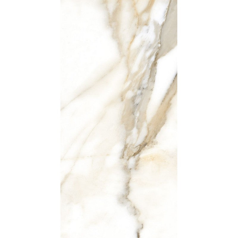 Rickert Fanal 24" x 48" Polished Porcelain Tile