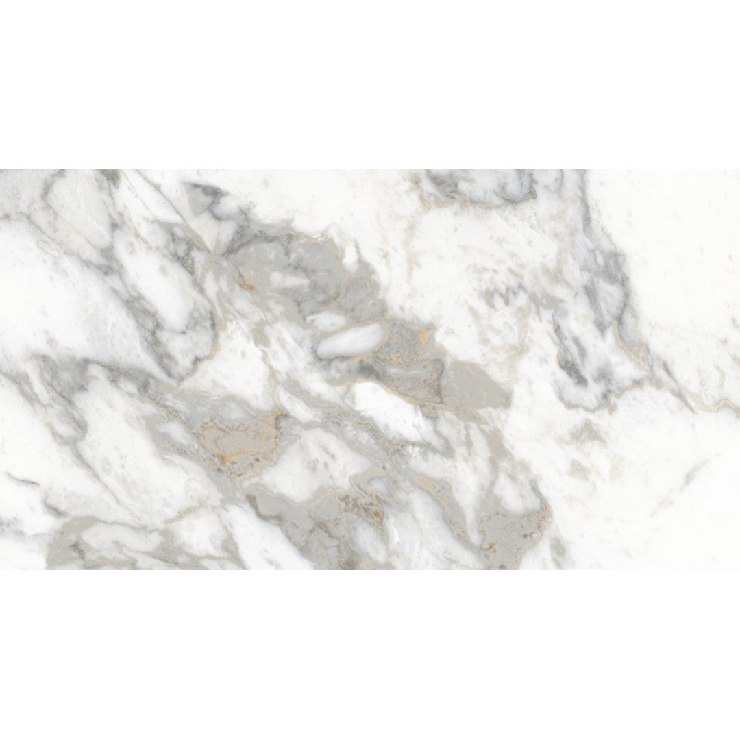 Rickert Edimax Symphony 24" x 48" Rectified Matte Porcelain Tile