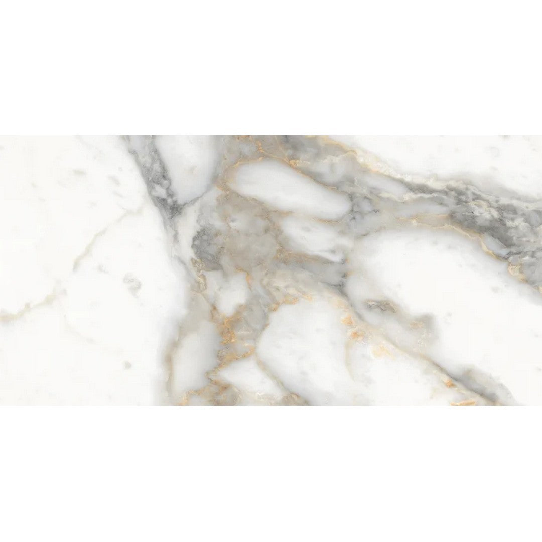 Rickert Edimax Symphony 12" x 24" Matte Porcelain Tile