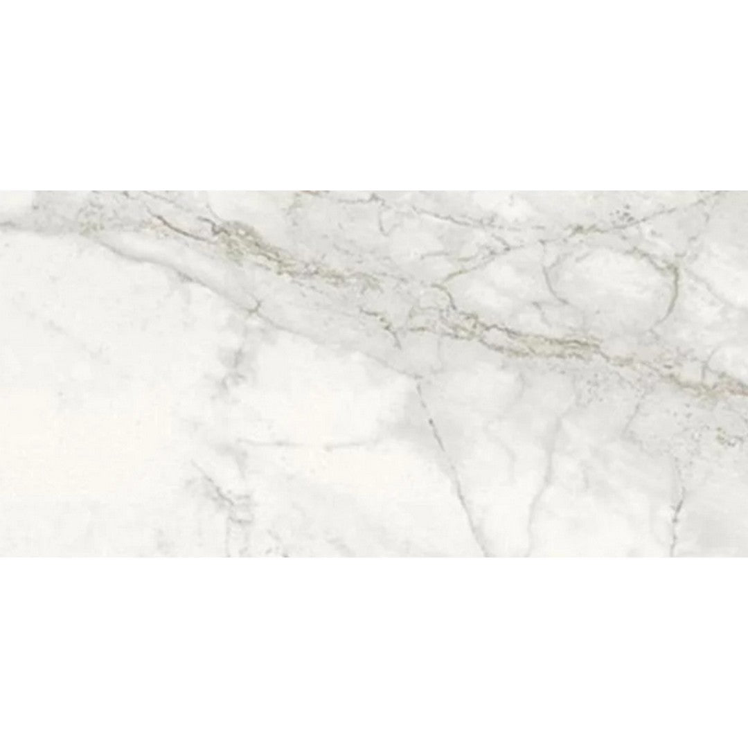 Rickert Pamesa 12" x 24" Polished Porcelain Tile