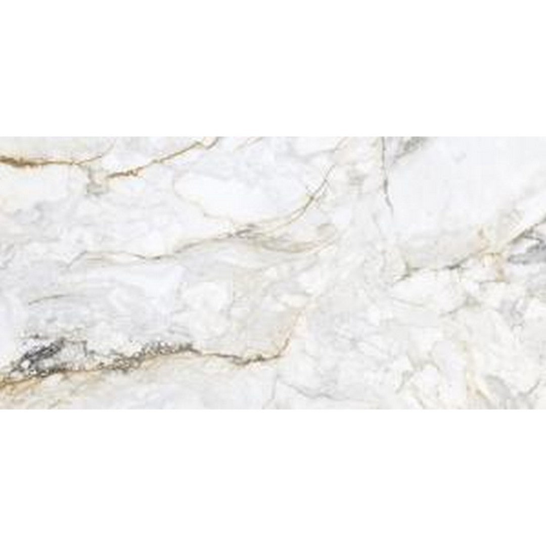 Rickert Pamesa 24" x 48" Polished Porcelain Tile