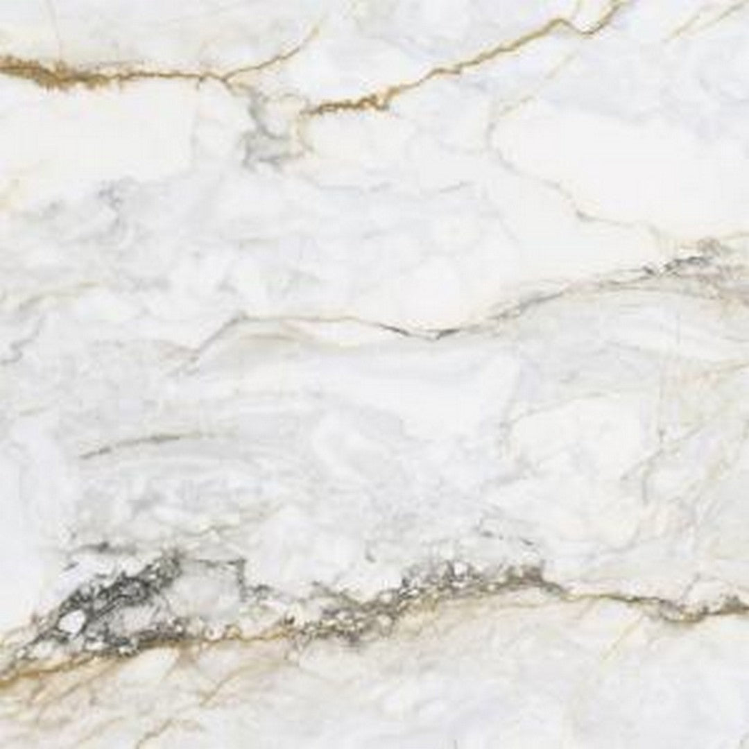 Rickert Pamesa 24" x 24" Matte Porcelain Tile