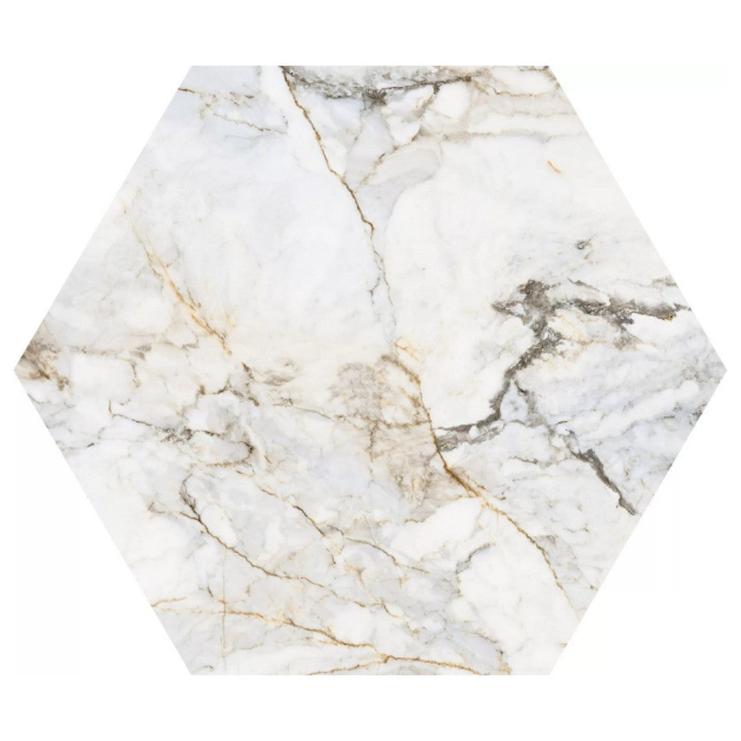 Rickert Pamesa Pisa 5" x 6" Matte Porcelain Hexagon Tile