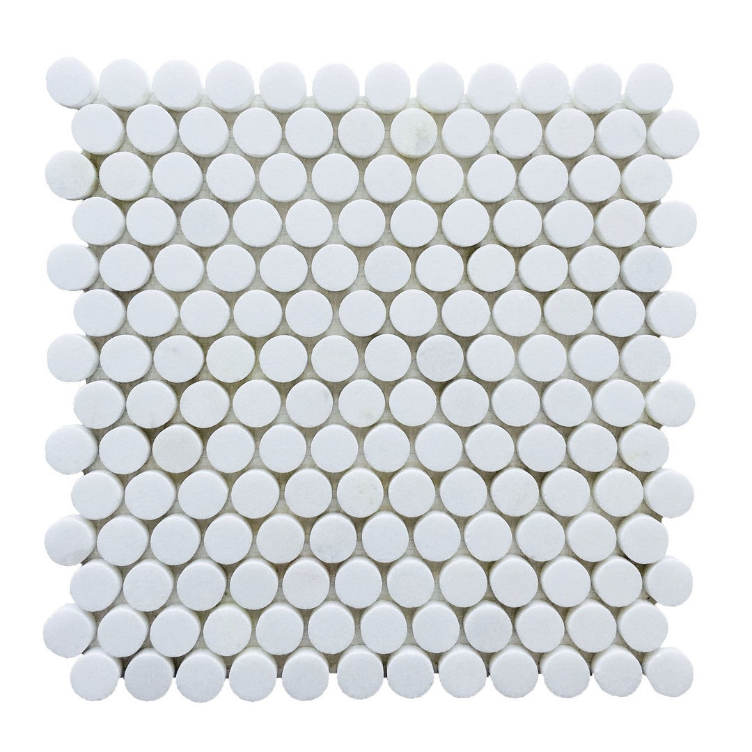 Rickert 12" x 12" Polished Marble 1" Penny Round Mosaic