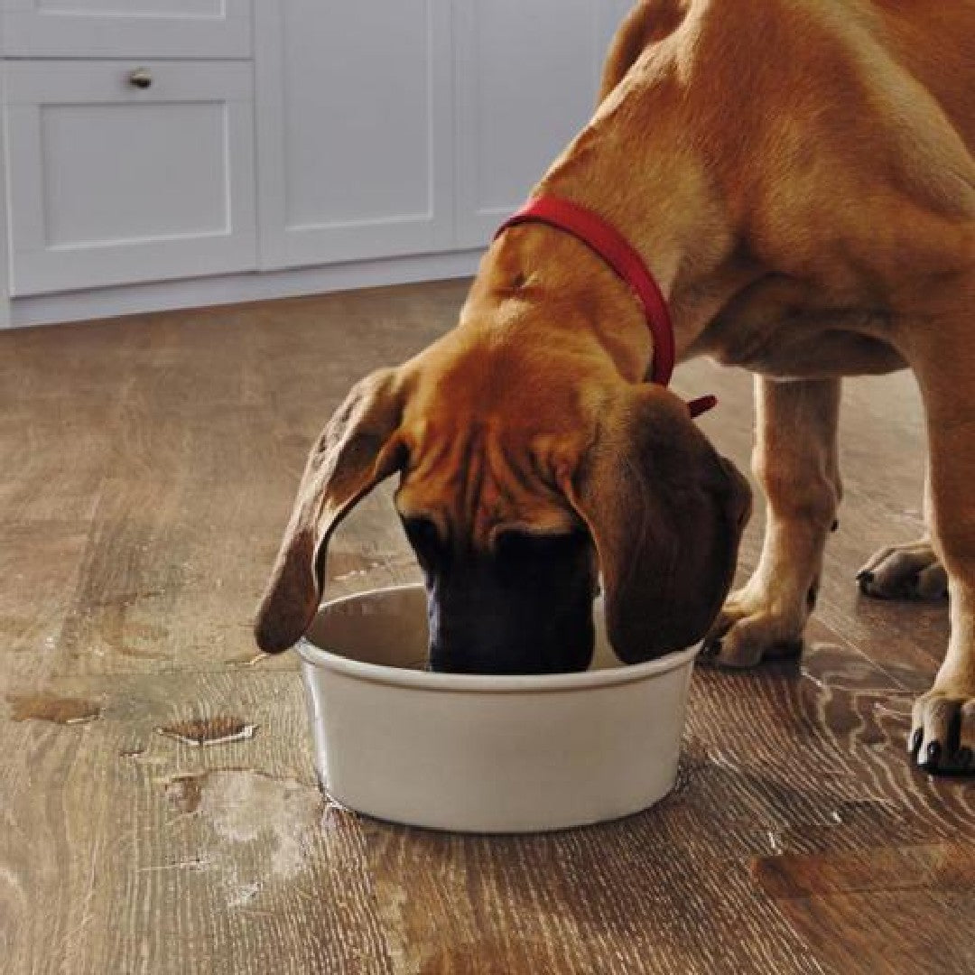 Karndean-Van-Gogh-Rigid-Core-7-x-48-Luxury-Vinyl-Plank-20mil-Hessian-Oak