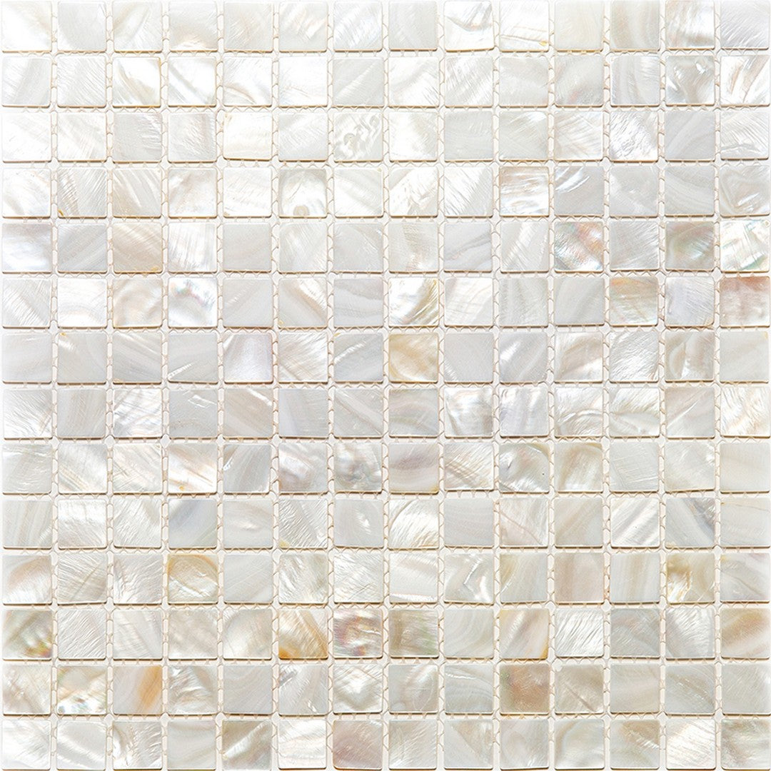 MiR Shell 12" x 12" Polished Shell 0.6" Mosaic