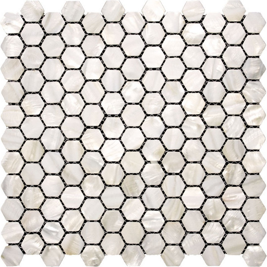 MiR Shell 11.6" x 11.6" Polished Shell 0.8" Penny Mosaic
