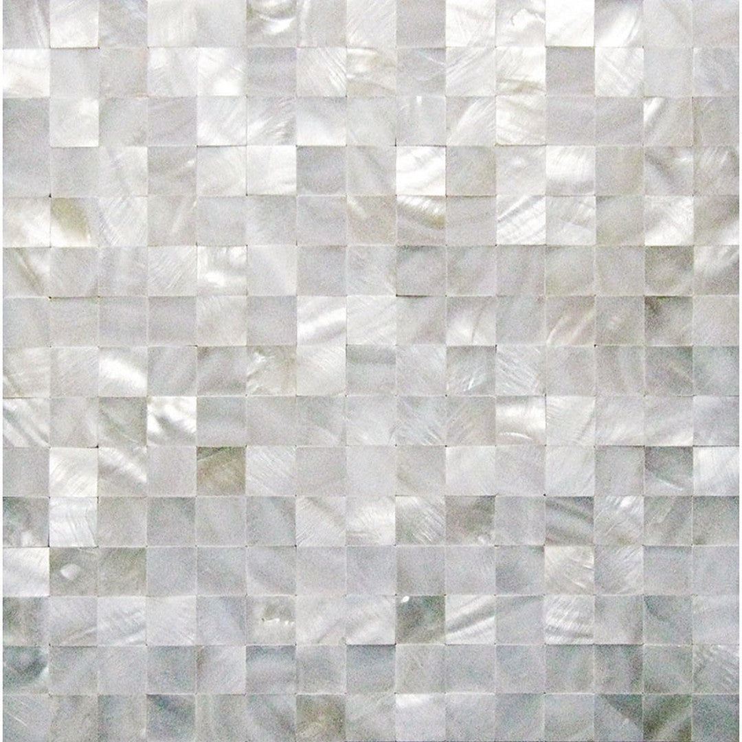 MiR Shell 11.8" x 11.8" Polished Shell 0.8" Mosaic