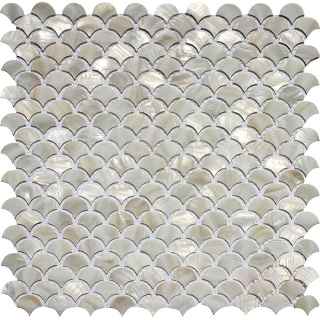 MiR Shell 11.8" x 11.8" Polished Shell 0.8" Mosaic