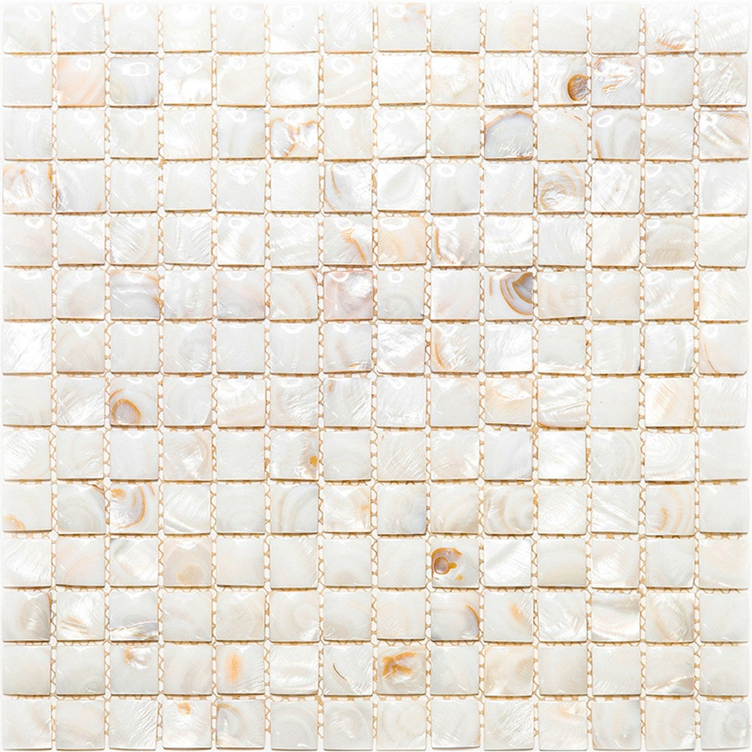 MiR Shell 11.8" x 11.8" Polished Shell 0.8" Mosaic