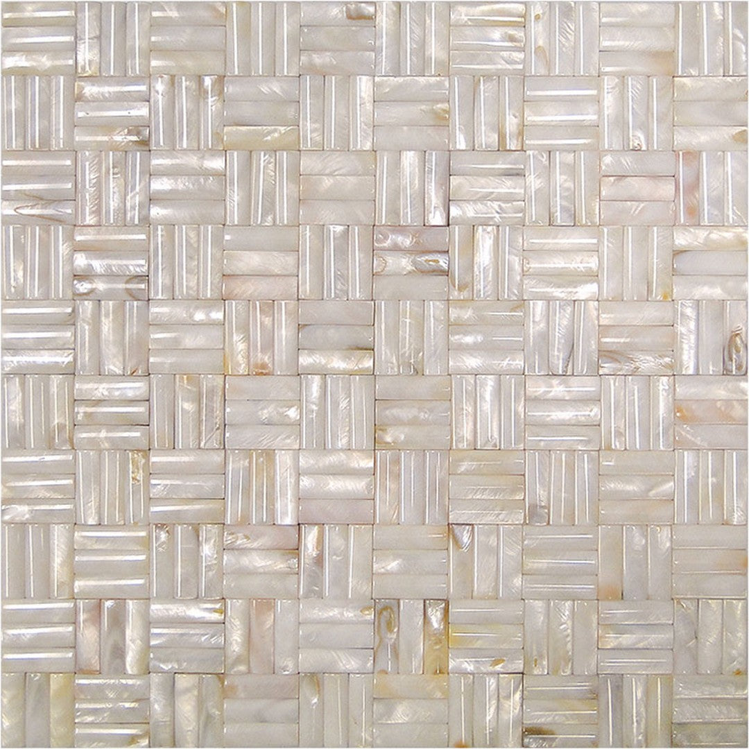 MiR Shell 11.8" x 11.8" Polished Shell 0.8" Mosaic