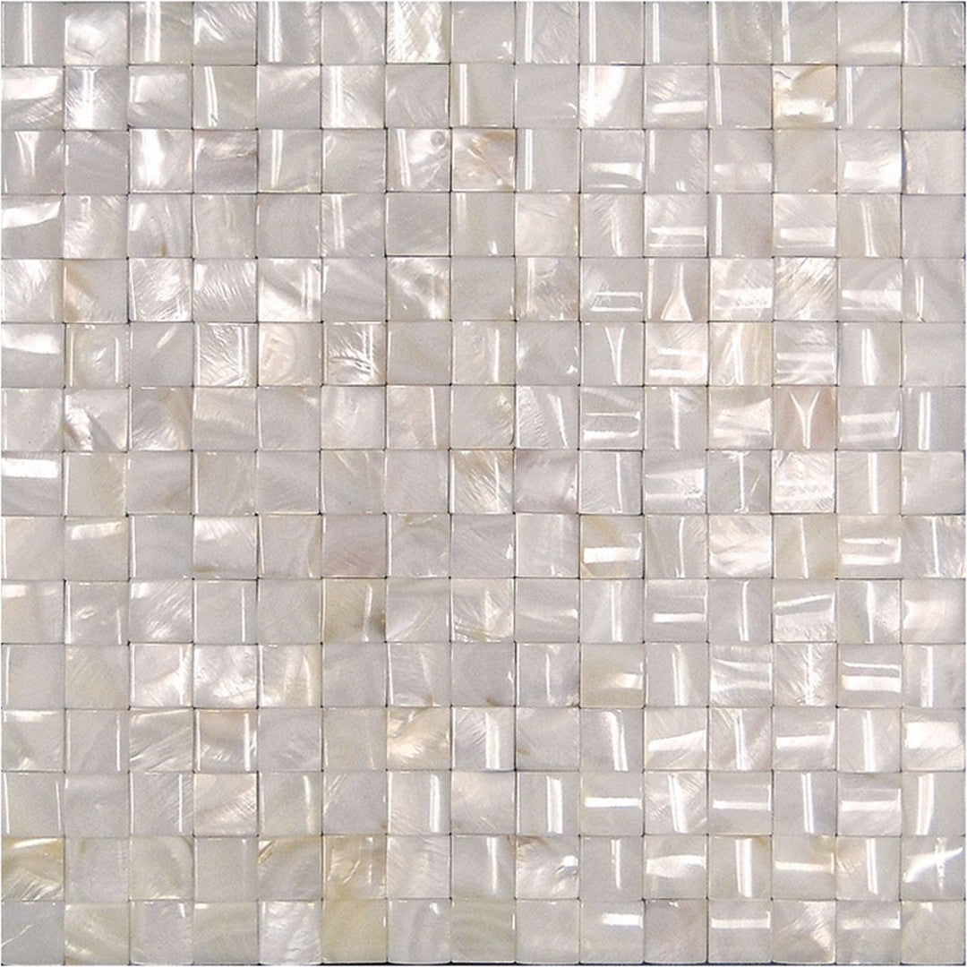 MiR Shell 11.8" x 11.8" Polished Shell 0.8" Mosaic