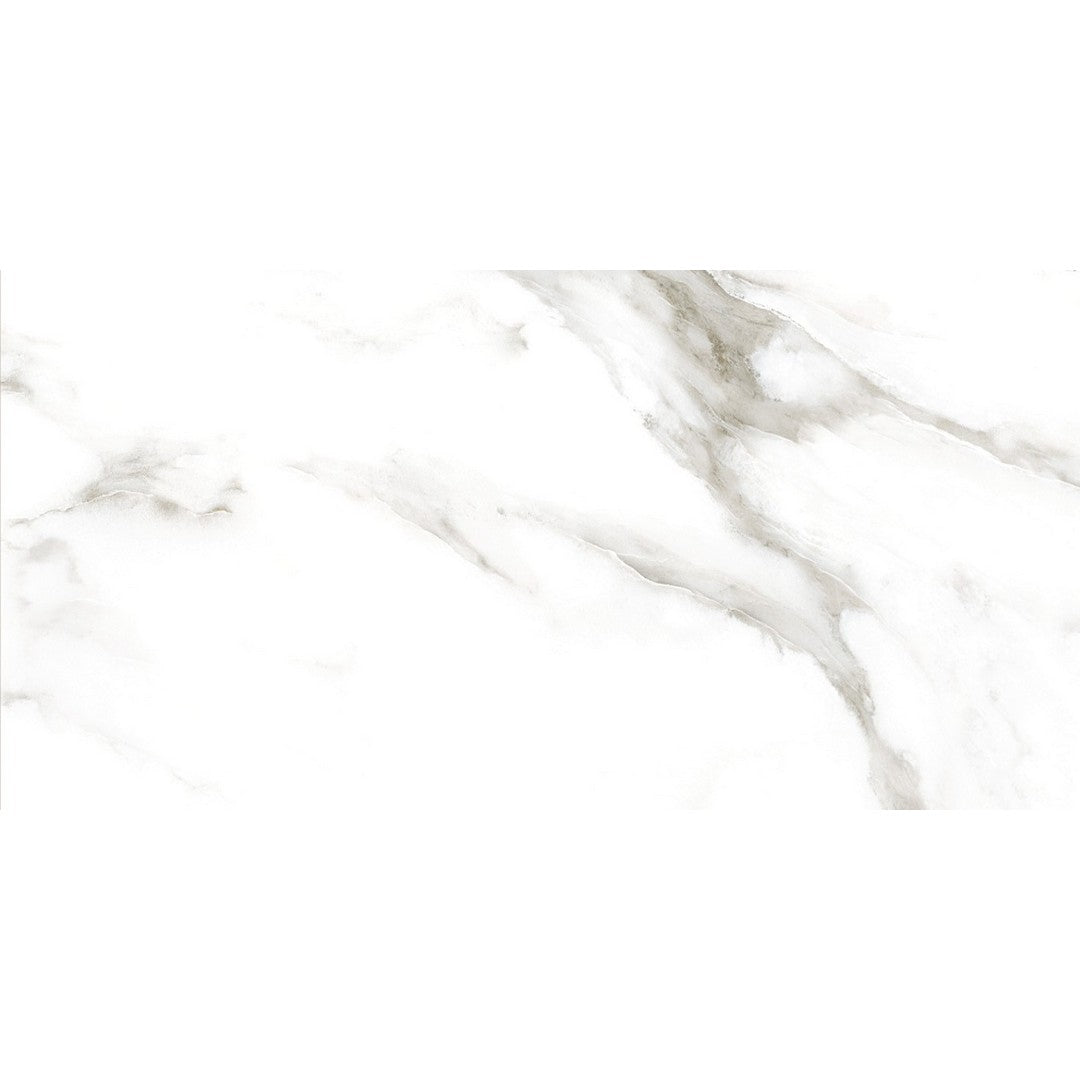 Tesoro Larsen 12" x 24" Rectified Polished Porcelain Tile