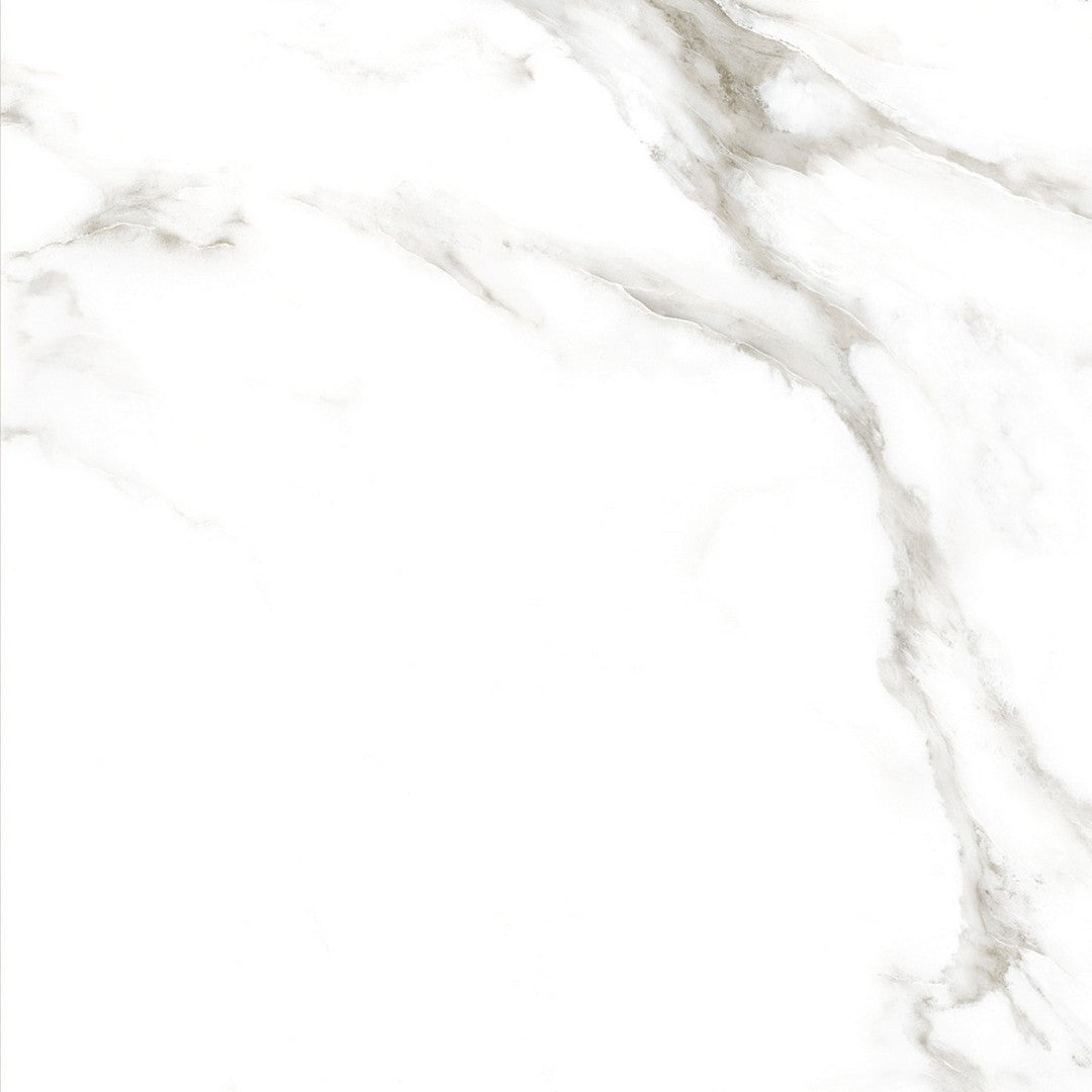 Tesoro Larsen 24" x 24" Rectified Polished Porcelain Tile