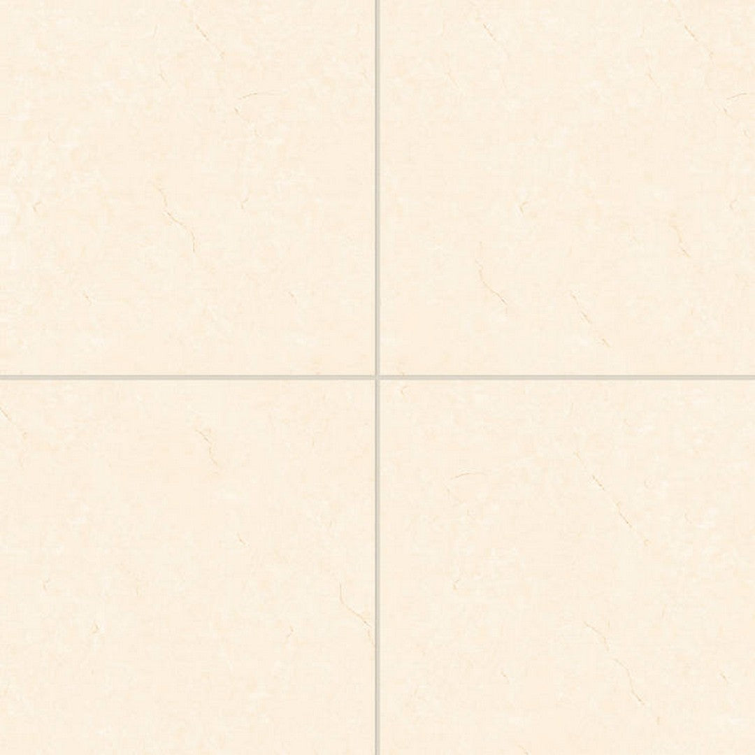 Bedrosians Shandar 24" x 24" Polished Glazed Porcelain Field Tile (Sale)