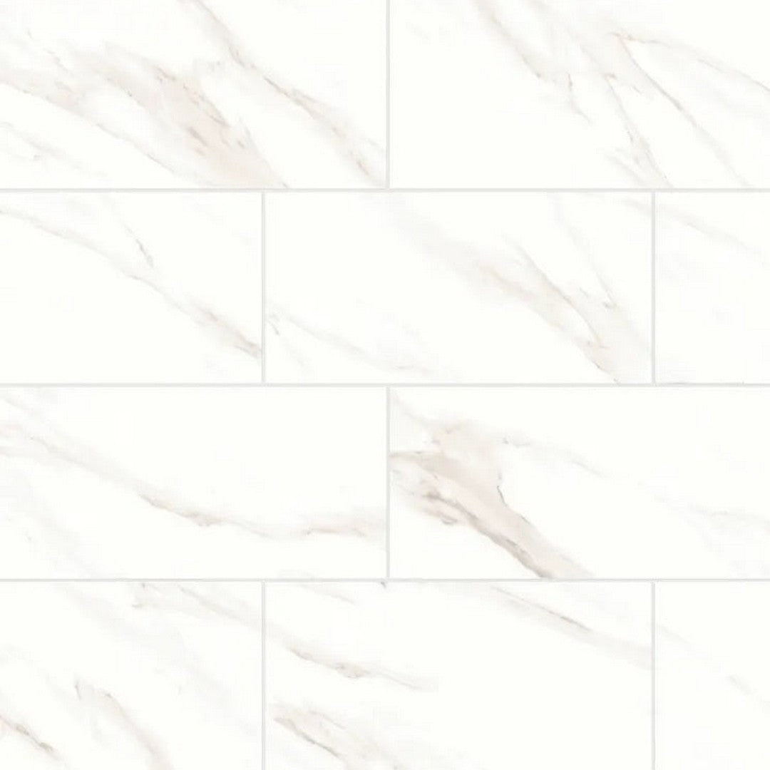 Bedrosians Shandar 12" x 24" Matte Glazed Porcelain Field Tile (Sale)