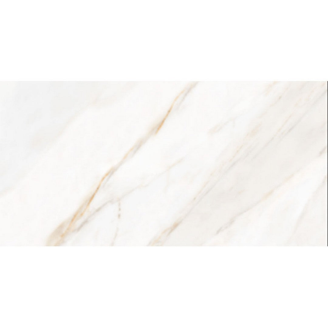 Tesoro Icaro 12" x 24" Matte Porcelain Tile