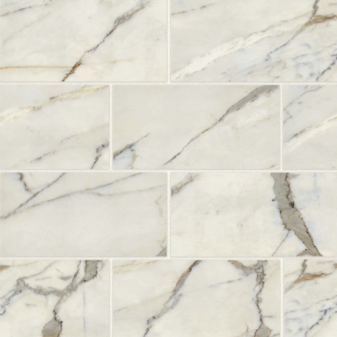 Bedrosians Classic 2.0 - 12" x 24" Matte Porcelain Field Tile