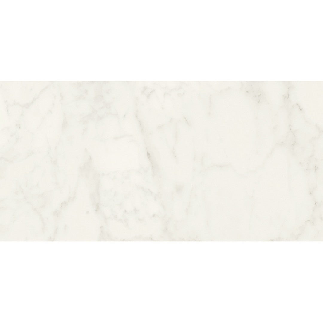 Emser Expanse Dynamix 12" x 24" Rectified Matte Porcelain Tile