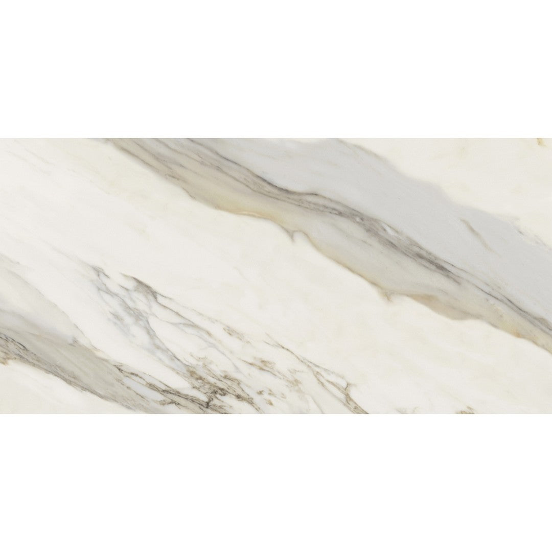 Emser Expanse Dynamix 12" x 24" Rectified Matte Porcelain Tile