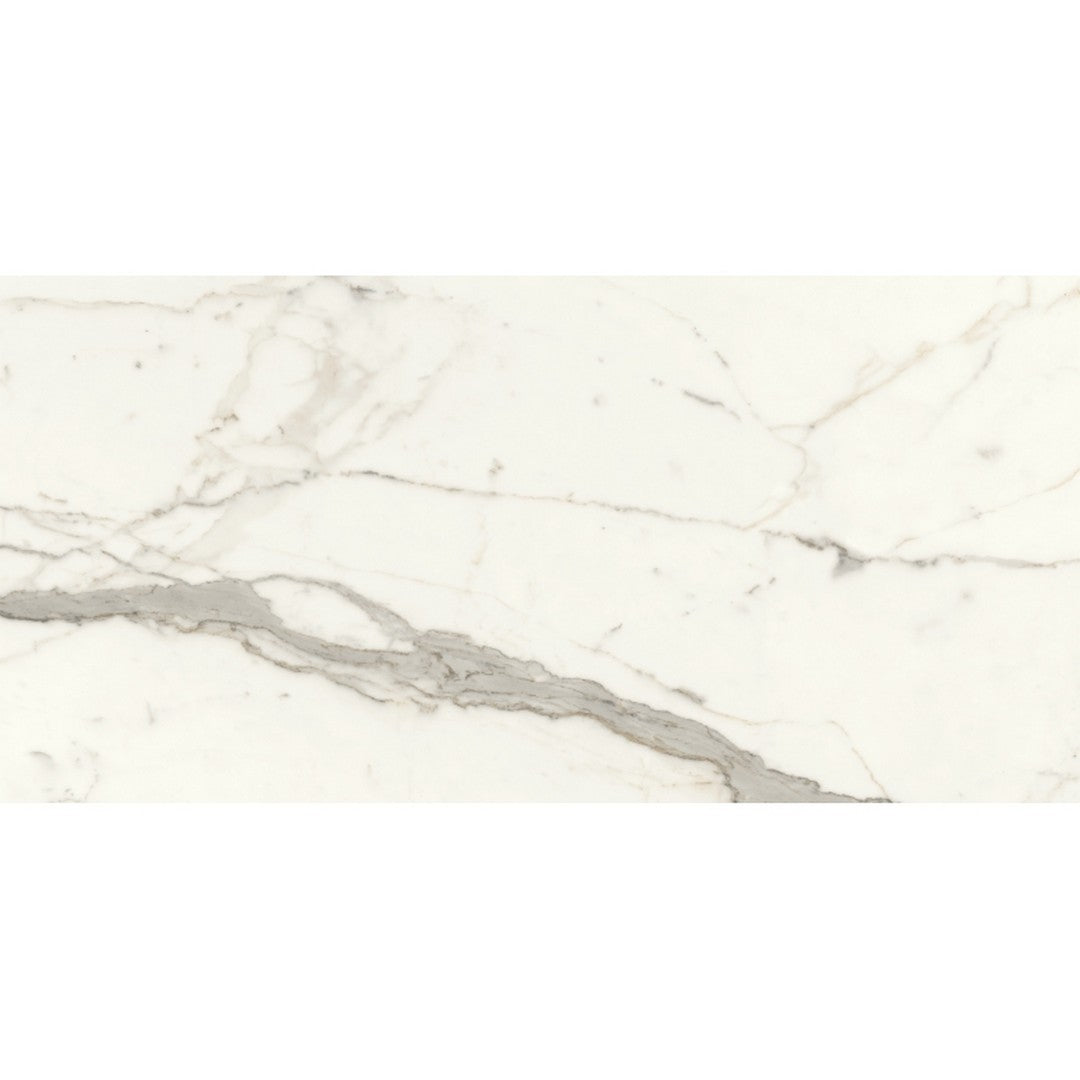 Emser Expanse Dynamix 24" x 47" Rectified Matte Porcelain Tile