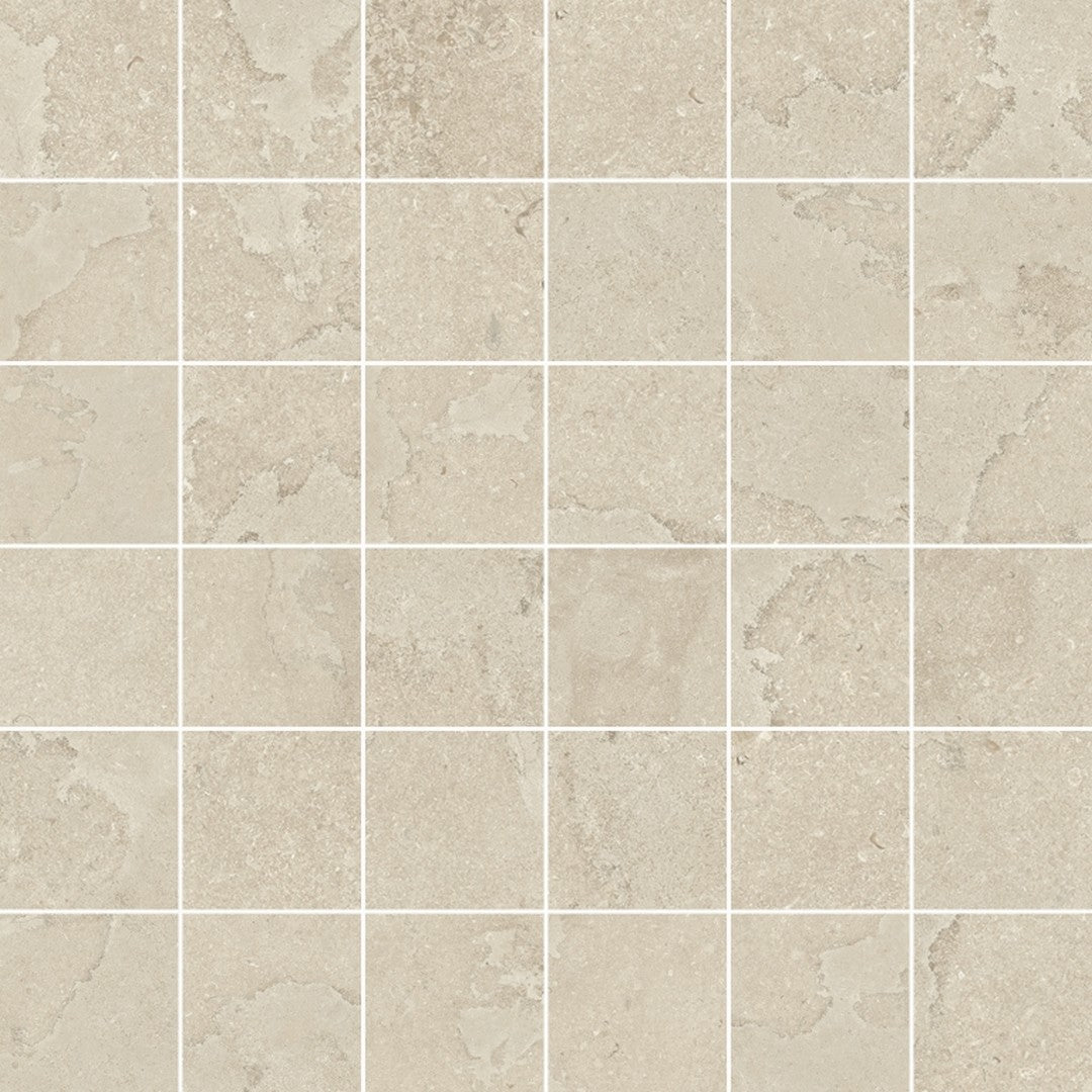Emser Expanse Dynamix 12" x 12" Matte Porcelain 2" Mosaic