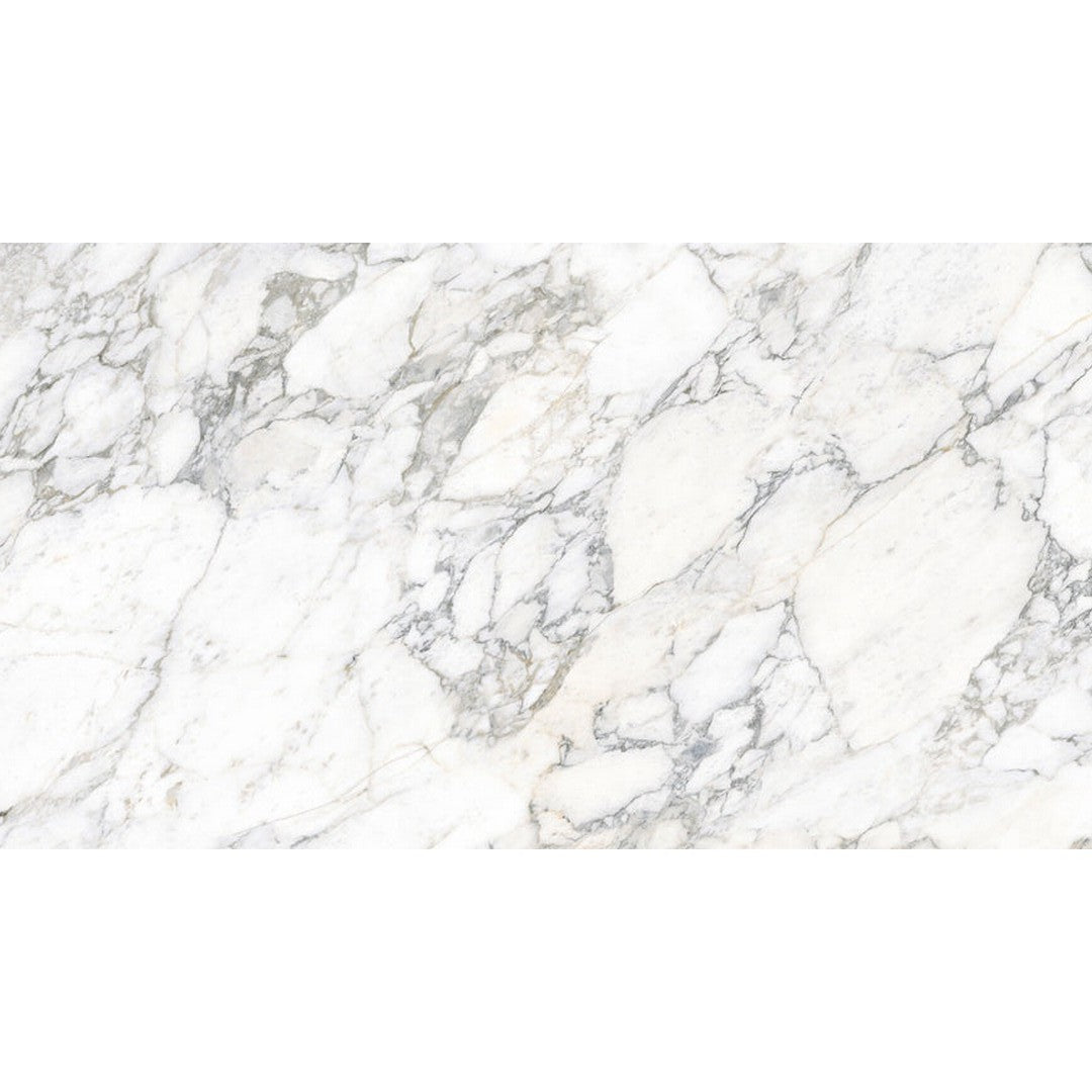 Emser Expanse 63" x 126" Rectified Polished Porcelain Tile