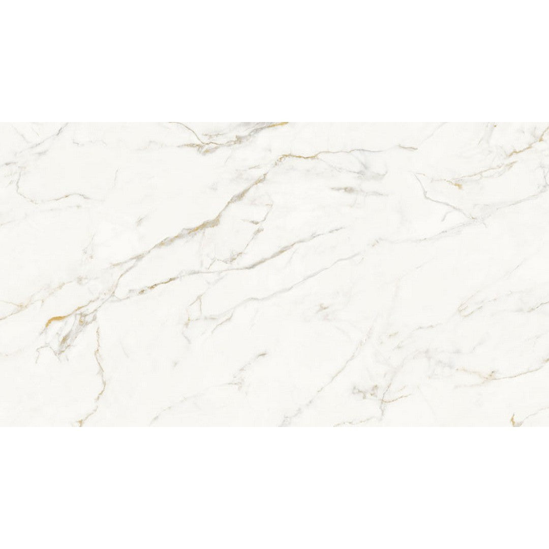 Emser Expanse 63" x 126" Rectified Polished Porcelain Tile