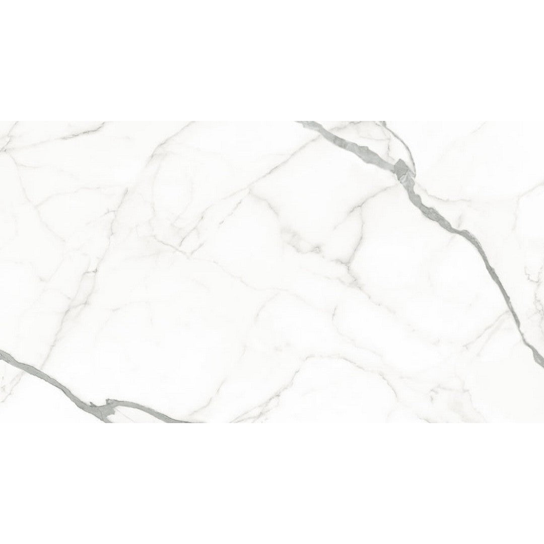 Emser Expanse 63" x 126" Rectified Polished Porcelain Tile