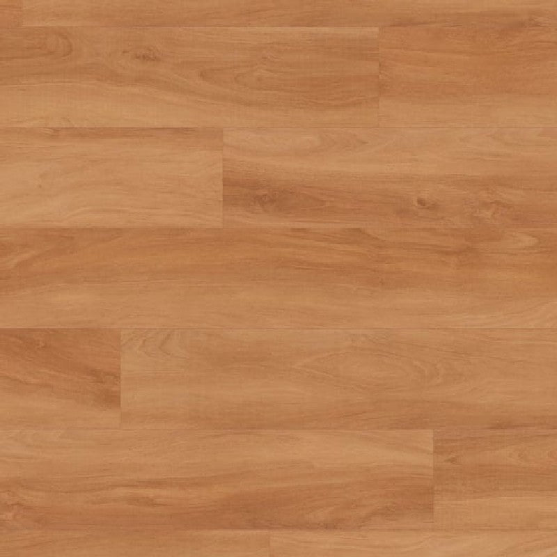 Karndean Van Gogh Gluedown 7" x 48" Luxury Vinyl Plank 20mil