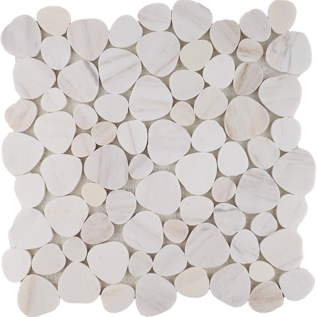 Tesoro Ocean Stones 11.25" x 11.25" Polished Natural Stone Sliced Mosaic