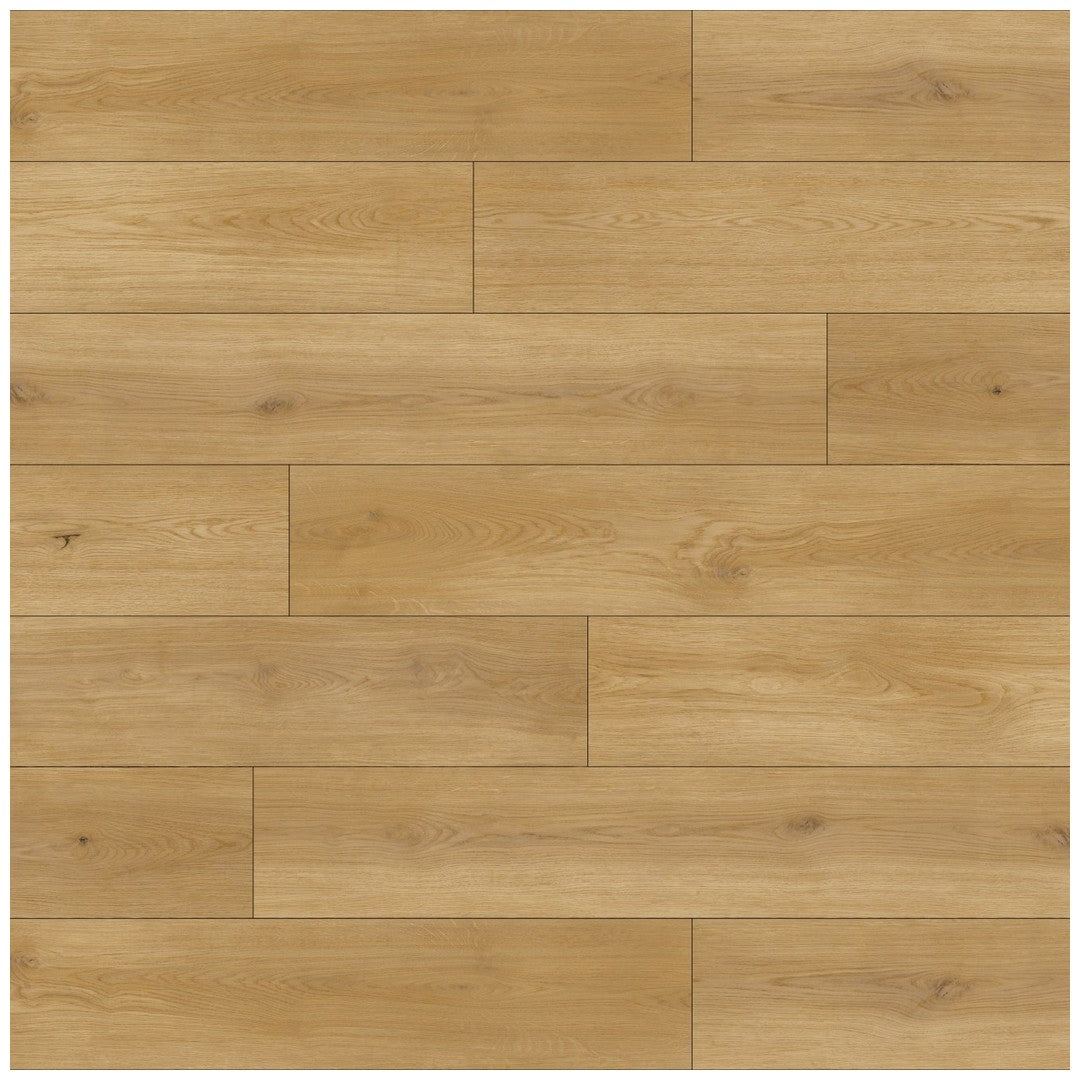 Bedrosians Woodland 9" x 60" SPC Luxury Vinyl Tile 20 Mil