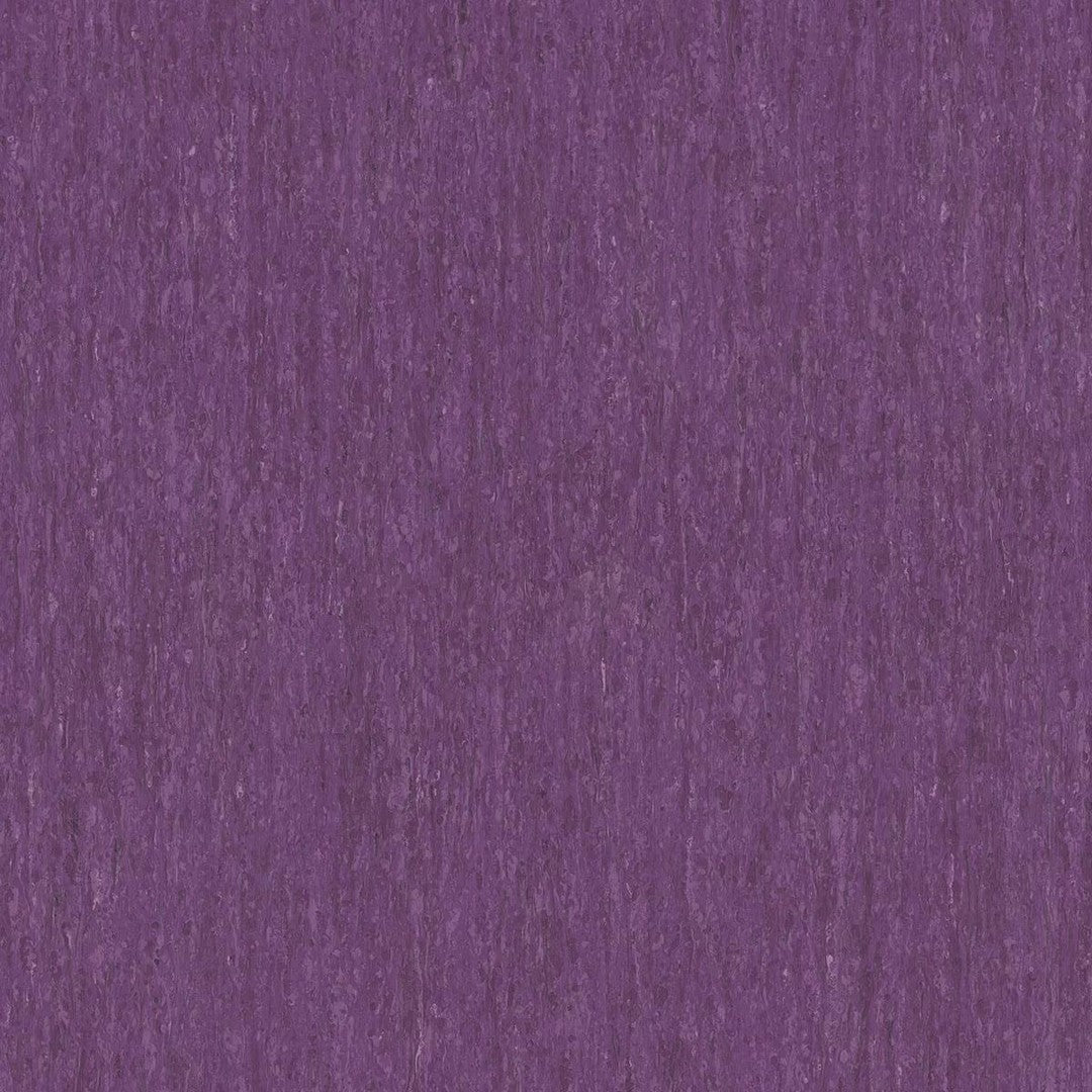 Tarkett iQ Optima 12" x 12" Homogeneous Vinyl Tile 2mil