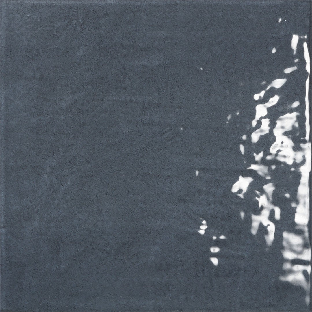 Emser Passion 9" x 9" Pressed Glossy Porcelain Tile