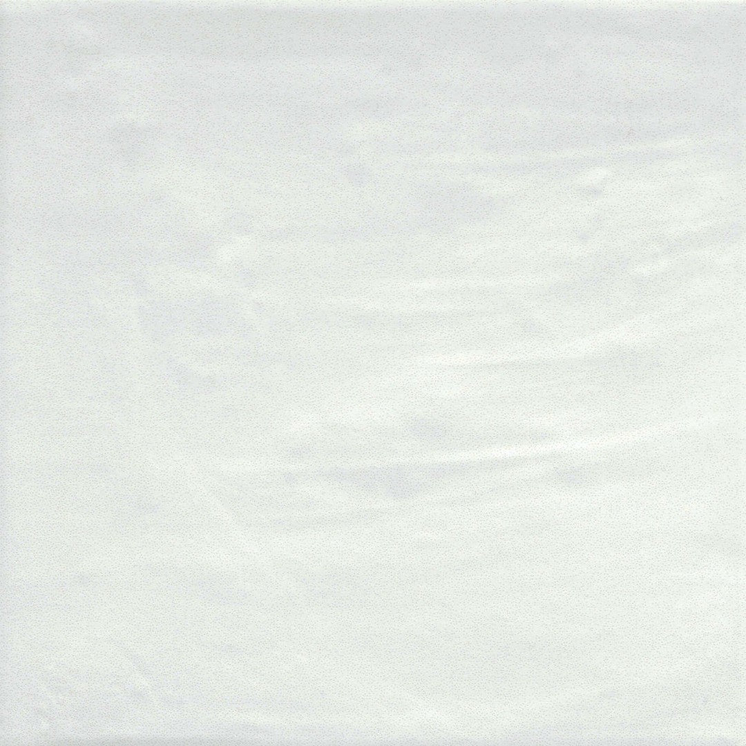 Emser Passion 9" x 9" Pressed Matte Porcelain Tile