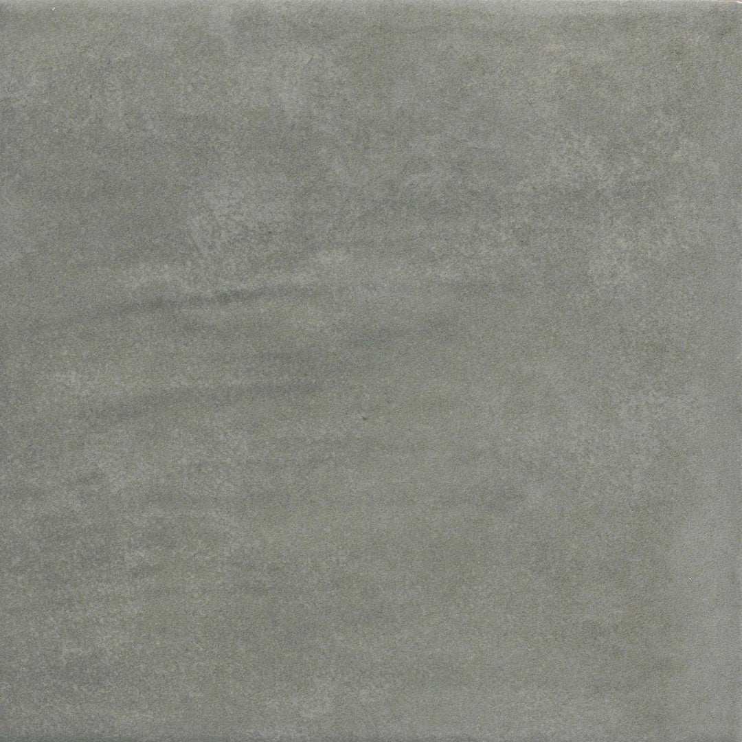 Emser Passion 9" x 9" Pressed Matte Porcelain Tile